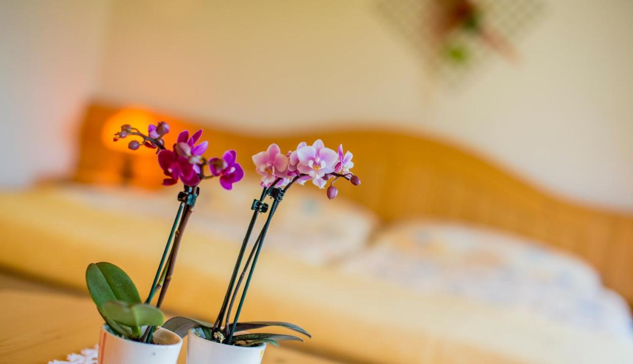 Alpenhotel Zur Wildi Lauchernalp Wiler Buitenkant foto